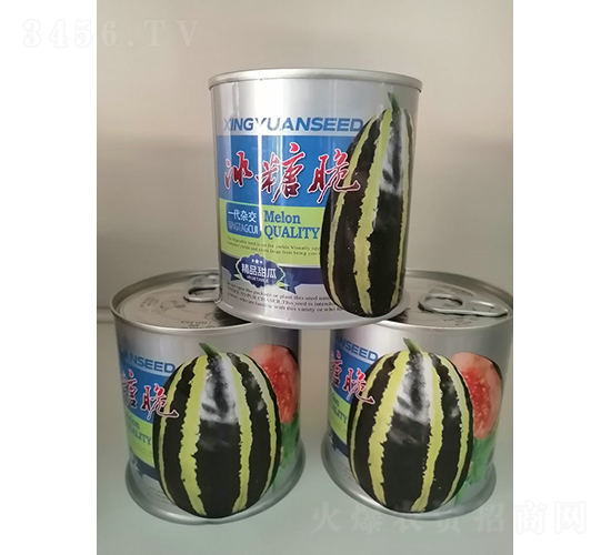 冰糖脆-甜瓜種子-邢源農(nóng)業(yè)
