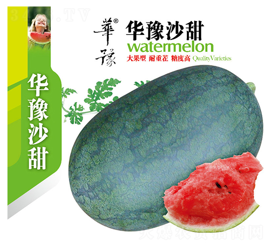 華豫沙甜-西瓜種子-邢源農(nóng)業(yè)