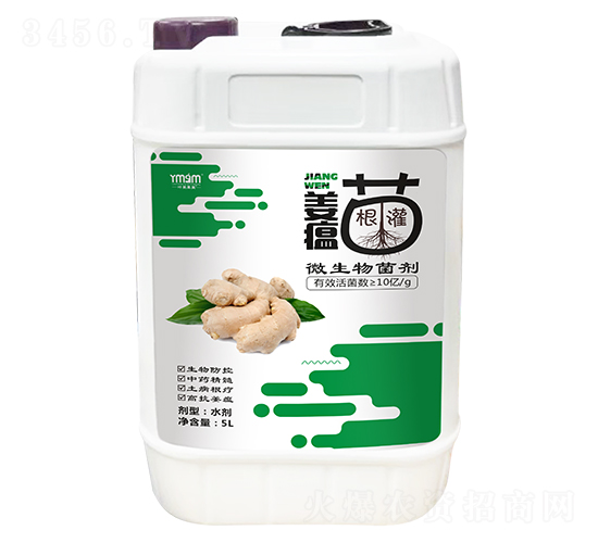 5L姜瘟專用微生物菌劑-葉美果美