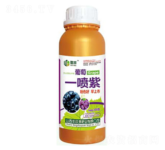 葡萄一噴紫-豐收源