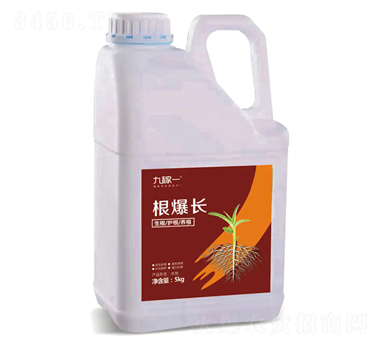 根爆長(zhǎng)-九稼一