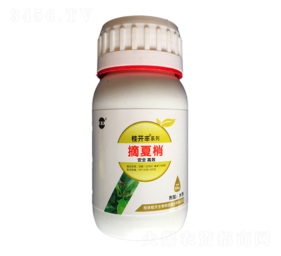 200ml摘夏梢-桂開豐-桂開