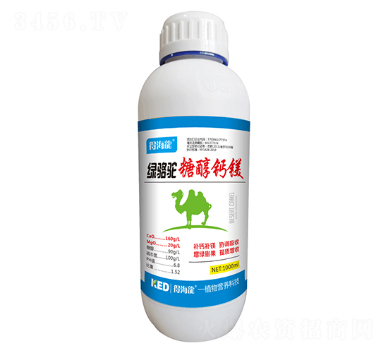 綠駱駝糖醇鈣鎂-得海龍-康恩地