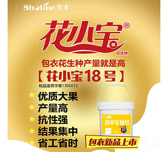 花小寶18號-花生種子-圣豐種業(yè)