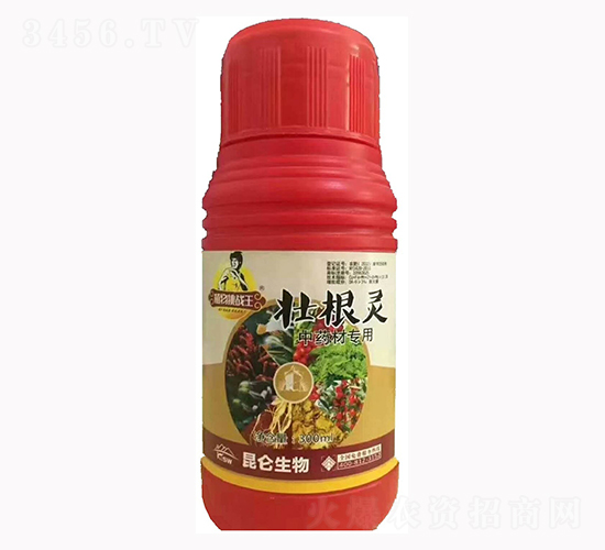 中藥材壯根靈-愛普達