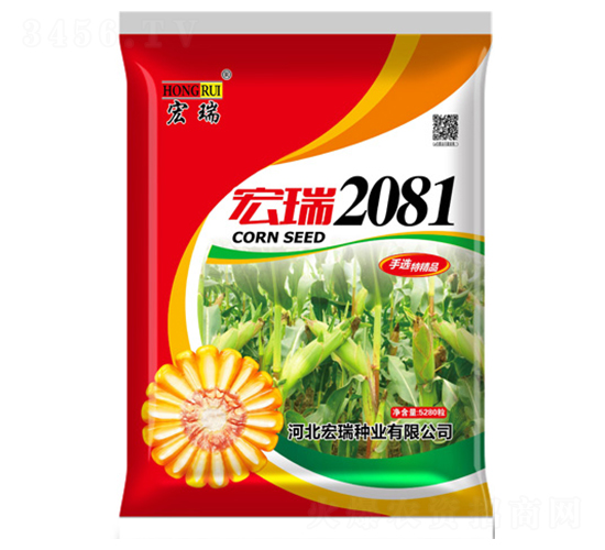 宏瑞2081（紅）-玉米種子-宏瑞種業(yè)