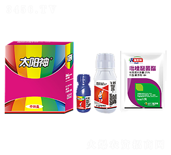 白龜太陽(yáng)神-白龜生物