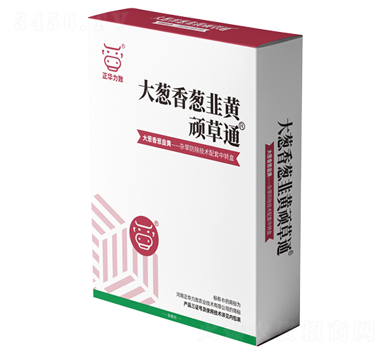 大蔥、香蔥、韭黃頑草通-正華力致
