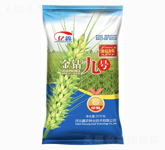 金鉆九號(hào)（小麥種子）-鑫農(nóng)種業(yè)