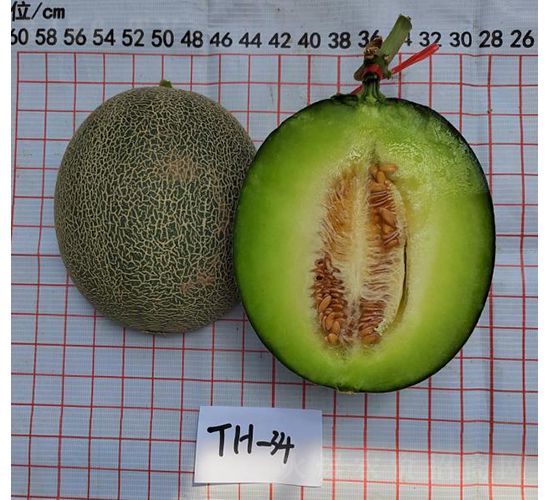 厚皮甜瓜糯激凌-甜瓜種子-優(yōu)奈爾生物