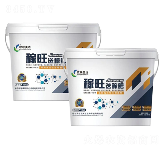 歐聯(lián)美達·稼旺-歐聯(lián)美達