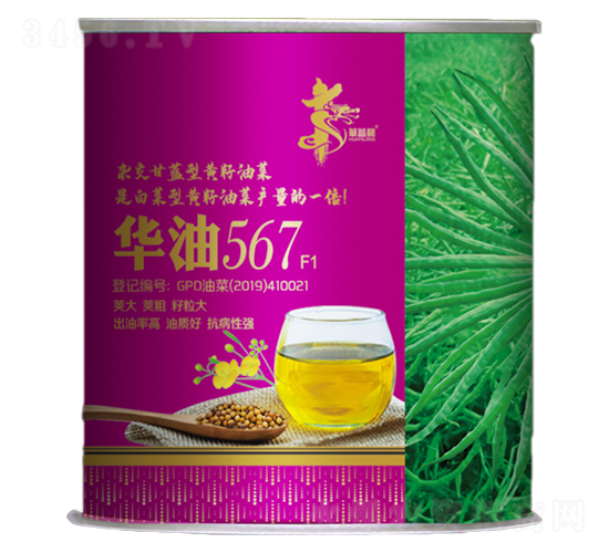 華油567F1-油菜種子-華一種業(yè)