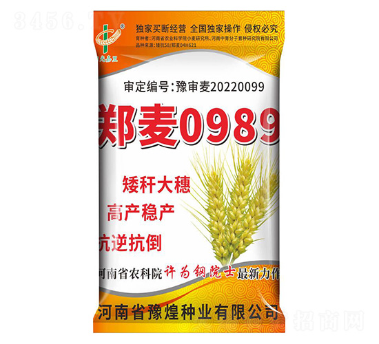 小麥種子-鄭麥0989-豫煌農(nóng)業(yè)