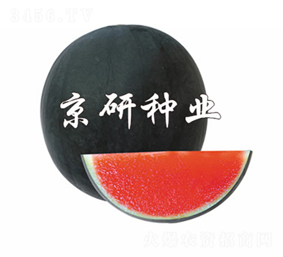 京瓏-西瓜種子-京研種業(yè)