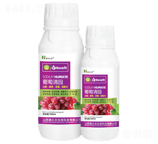 葡萄清園-惠利億農(nóng)