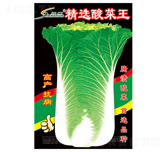 精選酸菜王-白菜種子-豐華種業(yè)