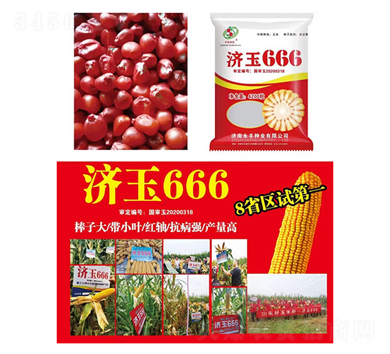 玉米種子-濟(jì)玉666-研創(chuàng)種業(yè)