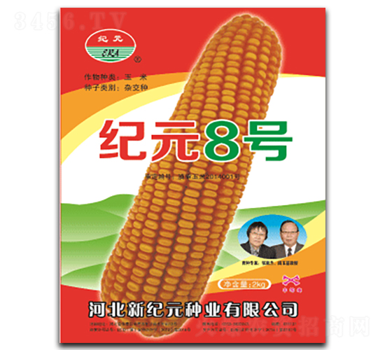 紀(jì)元8號-玉米種子-云南佑豐種業(yè)