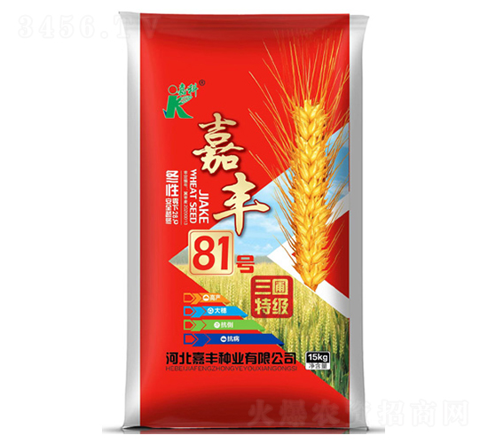 嘉豐81號-小麥種子-嘉科