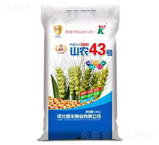 山農(nóng)43號-小麥種子-嘉科