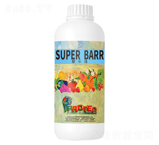 壁樂佳-普羅蒂歐