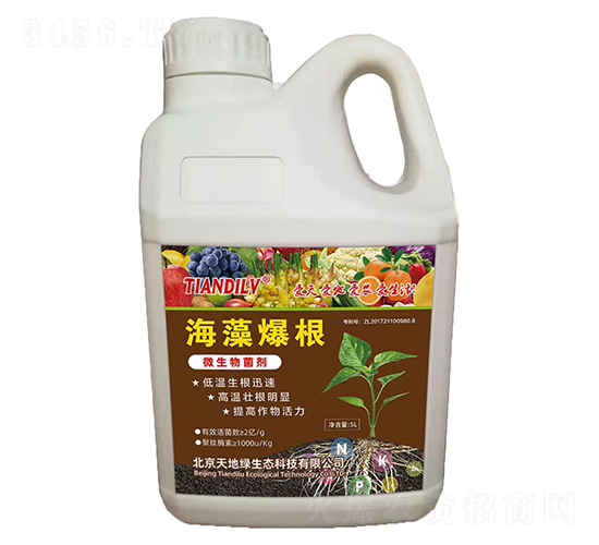 海藻爆根-天地綠