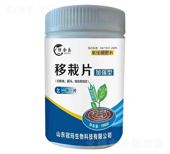 移栽片（白粉虱、薊馬、蚜蟲有效）-博合樂-冠瑪生物