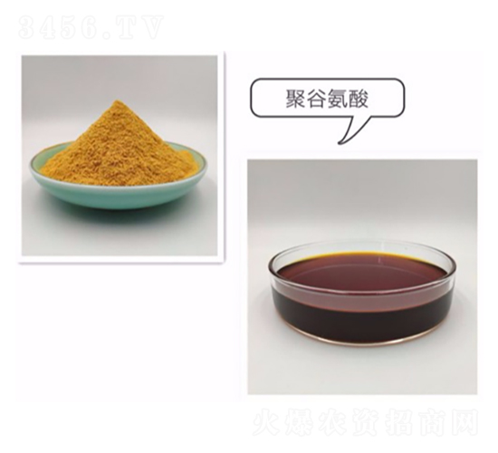 聚谷氨酸-倍沃達(dá)