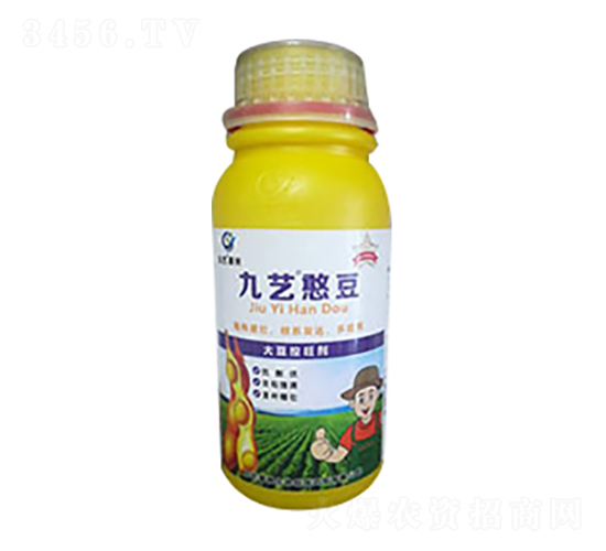 九藝憨豆-九藝綠洲