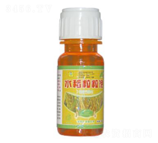 水稻粒粒飽-德鑫生物