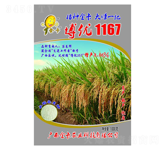 博優(yōu)1167-水稻種子-金卡農業(yè)