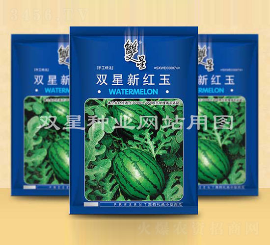 雙星新紅玉-西瓜種子-雙星種業(yè)