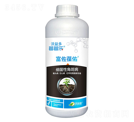 細(xì)菌性角斑病-富佐葆佑-莓莓樂(lè)-沃益多