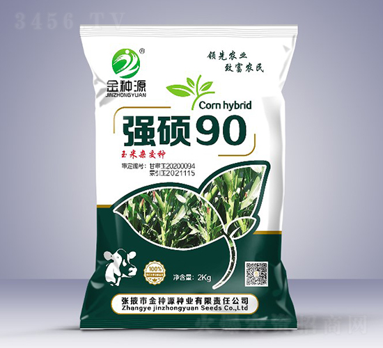 強碩90-玉米種子-金種源