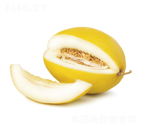 金麗1號-甜瓜種子-慶發(fā)禾盛