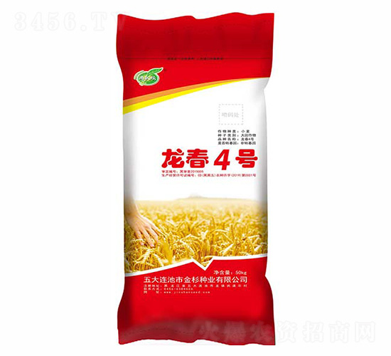 龍春4號-金杉種業(yè)