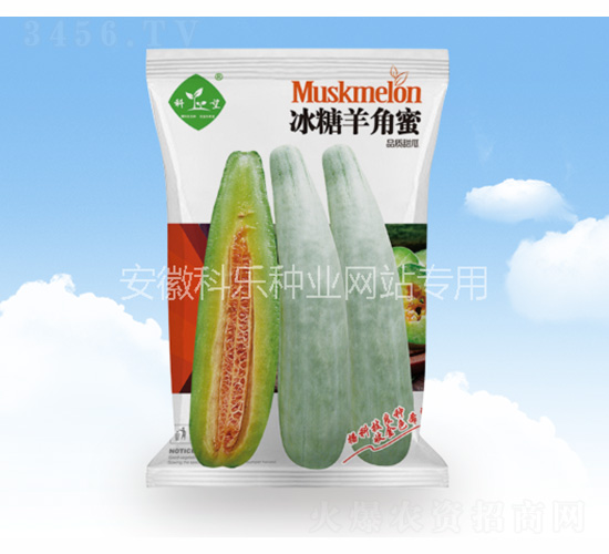 冰糖羊角蜜-科樂(lè)種業(yè)