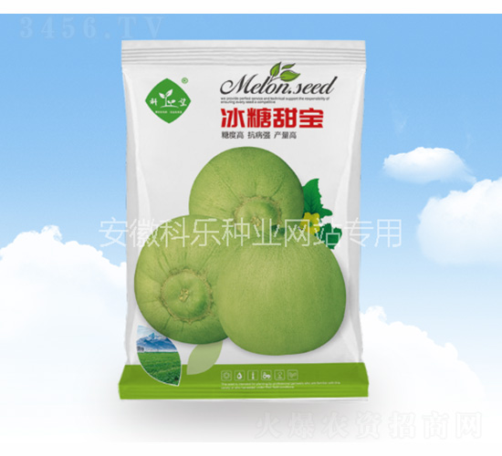 冰糖甜寶-科樂種業(yè)