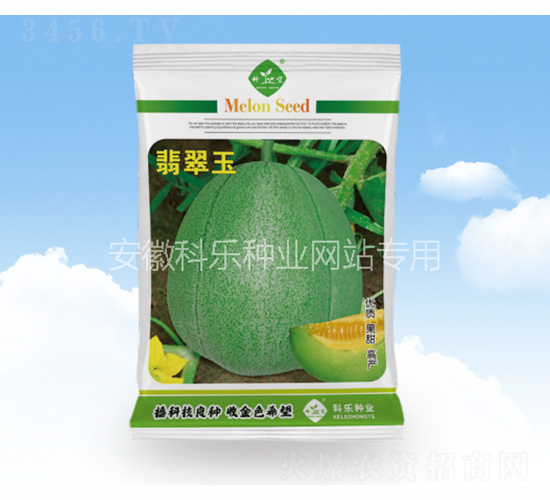 翡翠玉-科樂種業(yè)