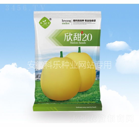 欣甜20-科樂種業(yè)