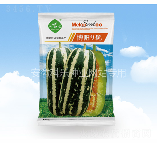 博陽(yáng)9號(hào)-科樂(lè)種業(yè)