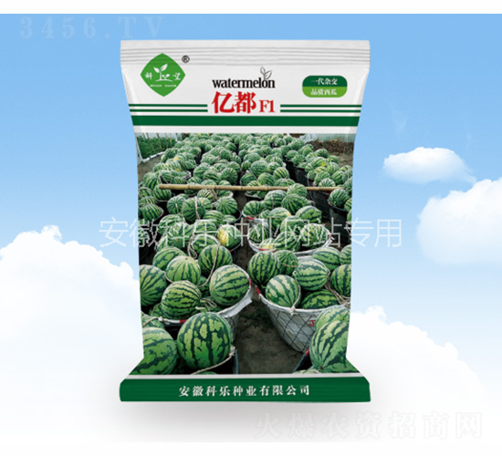 億都-科樂種業(yè)