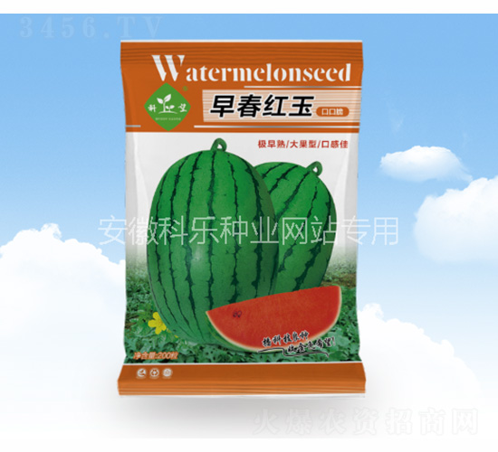 早春紅玉口口脆-科樂種業(yè)