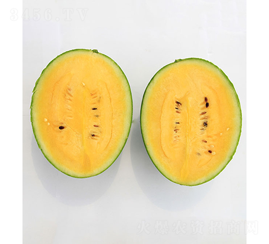 依農(nóng)精品1號-西瓜種子-依農(nóng)農(nóng)業(yè)