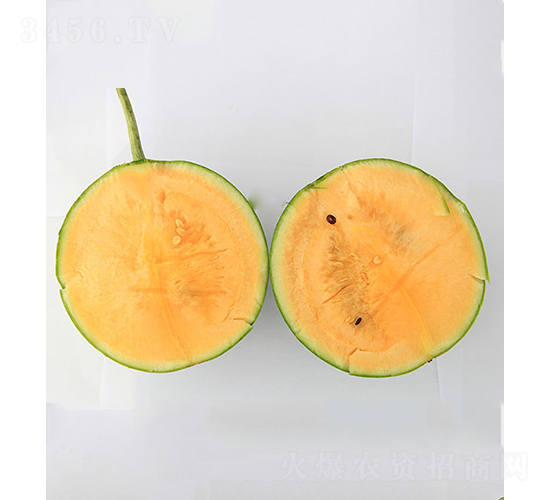 依農(nóng)精品2號-西瓜種子-依農(nóng)農(nóng)業(yè)
