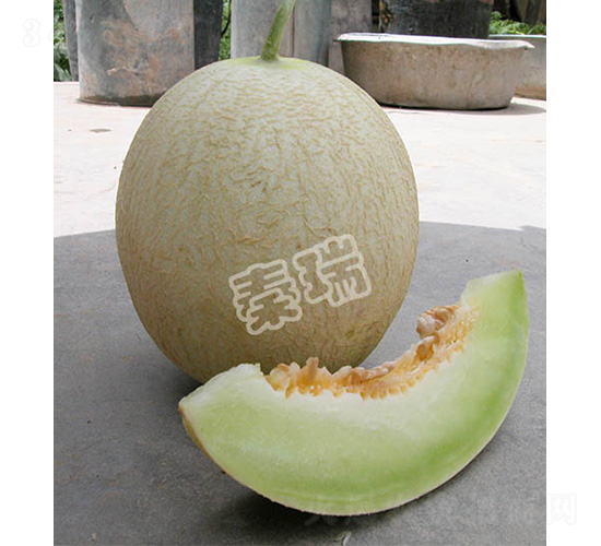 精品銀帝王-甜瓜種子-秦瑞