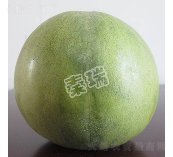 凌甜寶玉-甜瓜種子-秦瑞