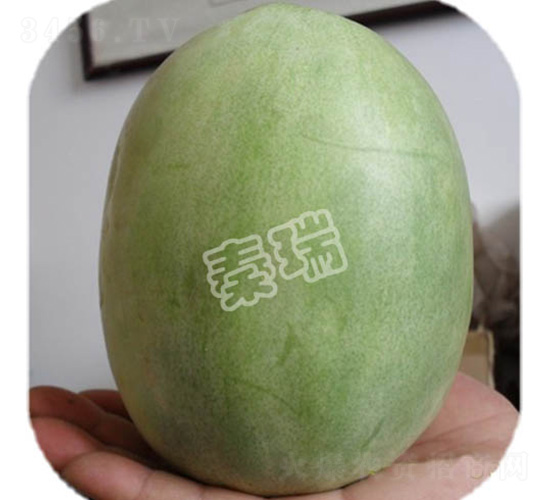 凌甜二號-甜瓜種子-秦瑞