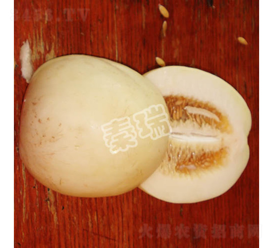 雪蜜一號(hào)-甜瓜種子-秦瑞