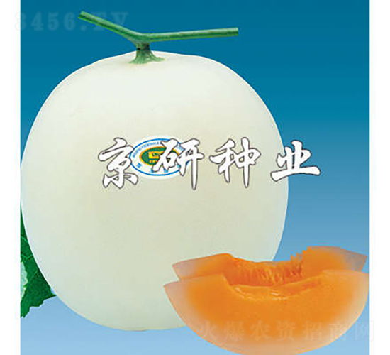 京玉2號(hào)-甜瓜種子-京研種業(yè)